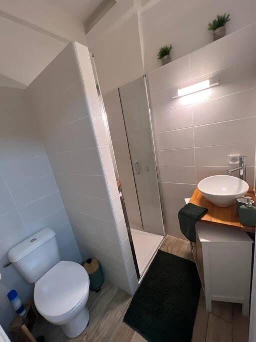 Casa Tropica Sainte-Anne Apartment ภายนอก รูปภาพ