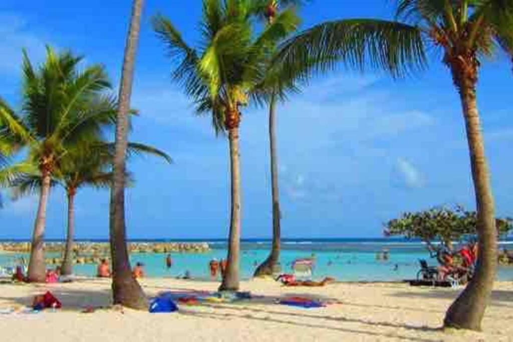 Casa Tropica Sainte-Anne Apartment ภายนอก รูปภาพ