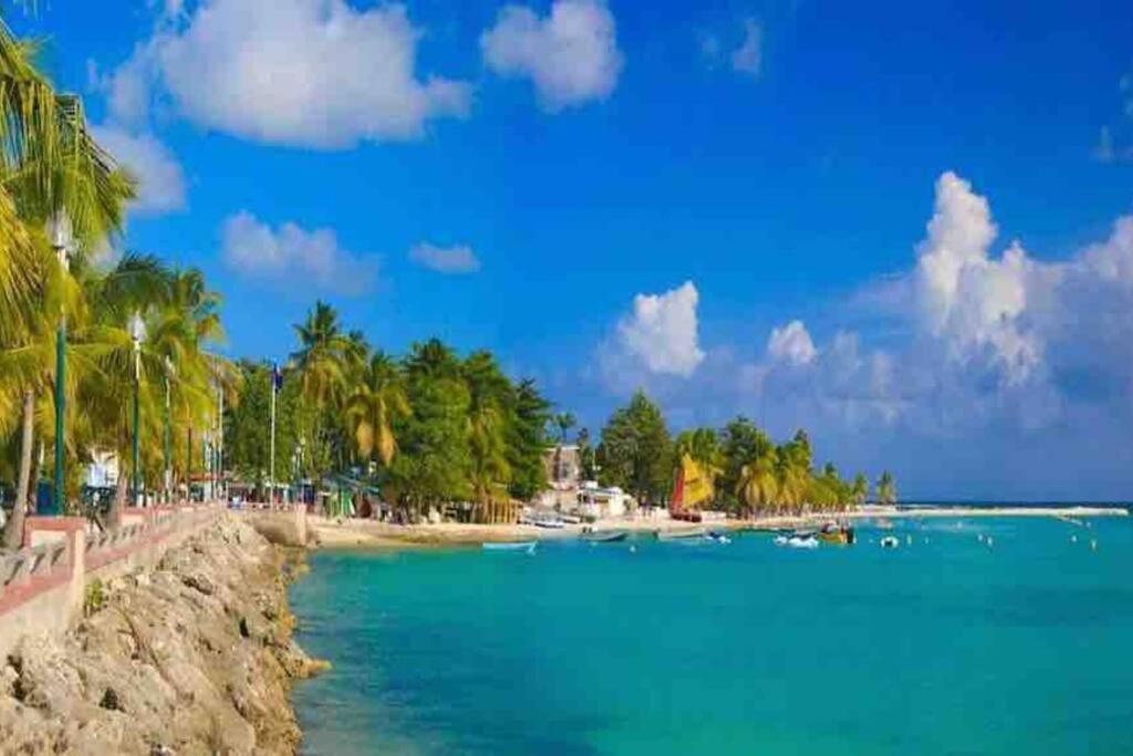 Casa Tropica Sainte-Anne Apartment ภายนอก รูปภาพ